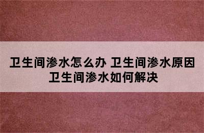 卫生间渗水怎么办 卫生间渗水原因 卫生间渗水如何解决